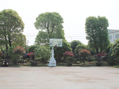 球場(chǎng) 球場(chǎng)